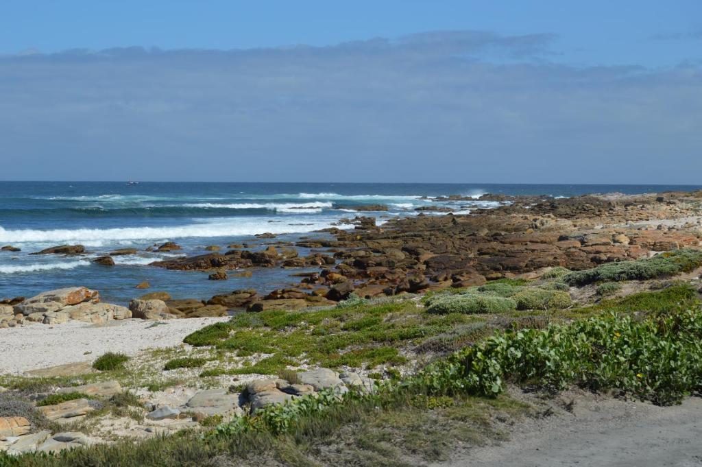 Thatchwood Country Lodge St Francis Bay Esterno foto